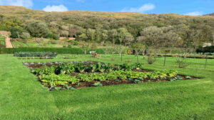 Ferme agricole intercommunale : un projet pour notre territoire