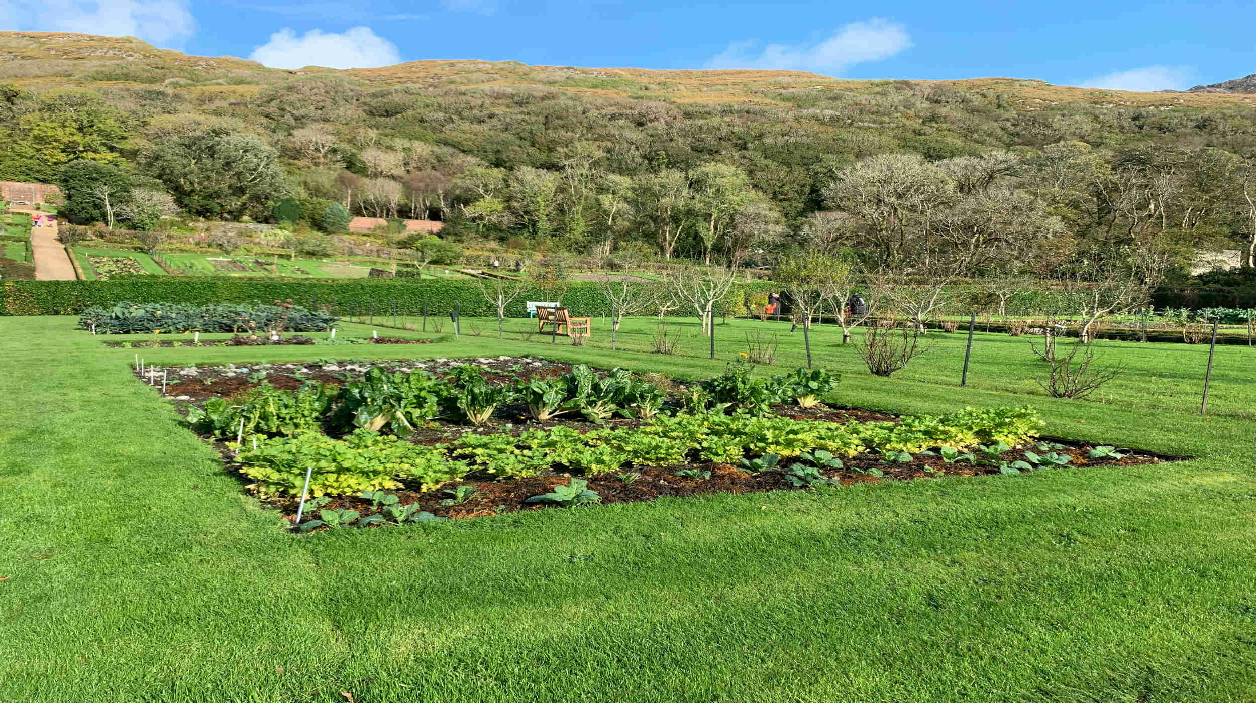 Ferme agricole intercommunale : un projet pour notre territoire