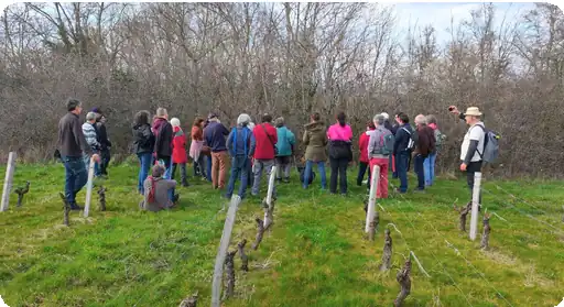 Visite site Bassin de la Turdine